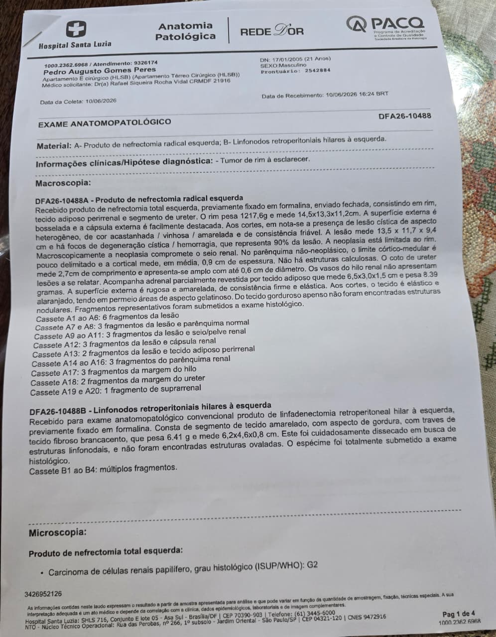 Laudo anatomopatológico do Hospital Santa Luzia (tocar para ampliar)